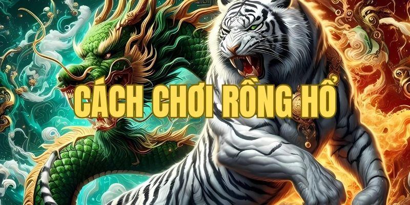 Các tùy chọn cược trong cách chơi Rồng Hổ